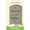 Prach alebo popol - Peter Salner