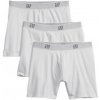 Pánske trenírky GAP, V-3PK BASIC biela L
