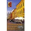 Promenades á travers Bratislava - Danica Janiaková