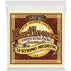 Ernie Ball 2012 Earthwood 12 String Struny pre akustickú gitaru