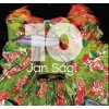 Jan Ságl 10 Deset stran jedné mince - Ságl Jan Bučilová Lenka Přibáň Jiří