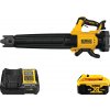 DEWALT 18V XR Aku záhradný fukár 200 km/hod, 1x 5,0 Ah DCMBL562P1-QW
