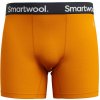 Smartwool Boxer Brief Boxed Man