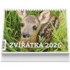 Zvířátka stolní 2026
