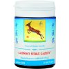 LADNOSŤ ŠTÍHLEJ GAZELY - JI SHI WAN mod. - TCM Herbs Objem: 100 tabliet / 30 g