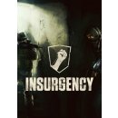 Insurgency