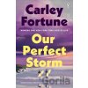 Our Perfect Storm - Carley Fortune