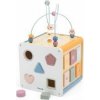 Viga 8 in 1 activity cube