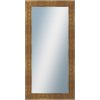 DANTIK - Zrkadlo v rámu, rozmer s rámom 50x100 cm z lišty TRITON široký (2952)