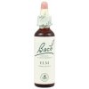 Elm - Brest 20 ml - bachove kvapky