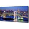 Foto obraz na plátne do obývačky Most v Tokio 100x50 cm