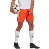 Adidas Squadra 21 M