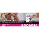 Frontline Tri-Act Spot-On Dog L 20-40 kg 1 x 4 ml