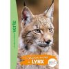 Wild Immersion 10 - Expédition au pays des lynx (Brožovaná)