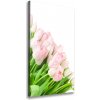 Vertikálny foto obraz na plátne Ružové tulipány 50x100 cm
