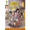 Oxford Reading Tree: Level 8: More Stories: What Was It Like?