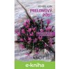 E-kniha Prelomový pôst - Fascinujúce stretnutia so Svätým písmom