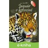 E-kniha Jaguár v kocovině - Jan Dungel
