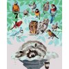 zuty Zuty - Maľovanie Podľa Čísel - Vtáky A Mýval (D. Rusty Rust), 40X50 Cm, Plátno (8596530189848)