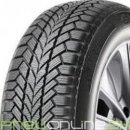 Giti Winter W1 195/55 R16 91H