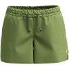 Dámske kraťasy Smartwool, W MERINO 4 HIKE SHORT zelená,biela L