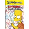 Bart Simpson Kreslířský génius (Matt Groening)