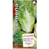 DOBRA SEMENA Šalát rímsky LITTLE GEM 3855 0,6g