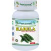 Karela (Horká tekvička), 500mg 60 kapsúl