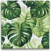 Vymalujsisam.sk Maľovanie podľa čísiel - Monstera Veľkosť: 50x50cm, Rám: Na plastovej doske
