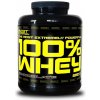 BEST NUTRITION 100% Whey Professional Protein od 1000 g vanilka 1000 g