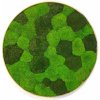 Machový obraz - Kruh - Kopp Veľkosť rámu: 50cm