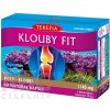 Terezia Company Klouby fit 60 kapsúl