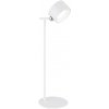 Globo 58436W