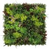 WALL GREEN Heather moss plant, dielec 100 x 100 cm (Realistická 