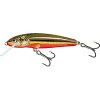 Salmo Minnow Floating M5F 5cm 3g Rainbow Dace Salmo