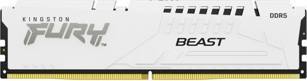 Kingston DDR5 16GB 6000MHz KF560C36BWE-16