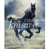 Čierny krásavec – ilustrované vydanie - Sewell Anna