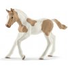 Schleich Zvieratko - Žriebä plemena Paint Horse, 13886