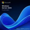 Dell Windows Server 2025 Essentials 10 Core OEM, 634-CVDT
