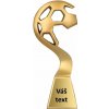 Trofej Futbalová lopta zlatá 23 cm