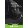 E-kniha Tulák Dany - Beatrix Horváthová