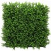 Asplenium dark, dielec 50 x 50 cm (Umelý živý plot - Sleziník tmavý)