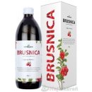 nefdesanté brusnica šťava 0,5 l