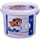 Orling Gelapony Chondro 1,8 kg