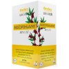 HERBEX Lekáreň MOČOPOHLAVNÝ aparát bylinná zmes, čaj 20x3 g (60 g)