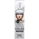 Wats Elysée Color Mousse farebné penové tužidlo farba strieborná 63 75 ml