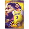Davis obraz na stenu Art / Basketbalista Anthony Davis