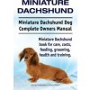 Miniature Dachshund. Miniature Dachshund Dog Complete Owners Manual. Miniature Dachshund book for care, costs, feeding, grooming, health and training.