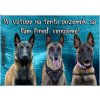 Pozorpes.sk, výstražná tabuľka (Belgický ovčiak - trojica)