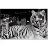 Sablio Prestieranie Mestský tiger: 40x30cm